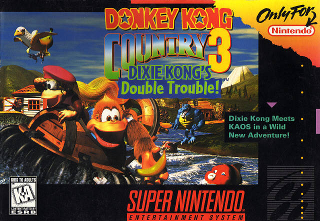 SNES Donkey Kong Country 3 AKA Super Nintendo Donkey Kong Country 3 Dixies Kong's Double Trouble