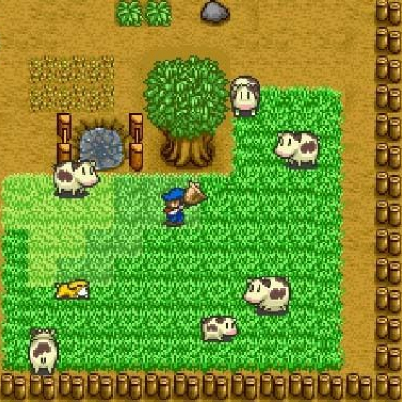 SNES Harvest Moon AKA Super Nintendo Harvest Moon